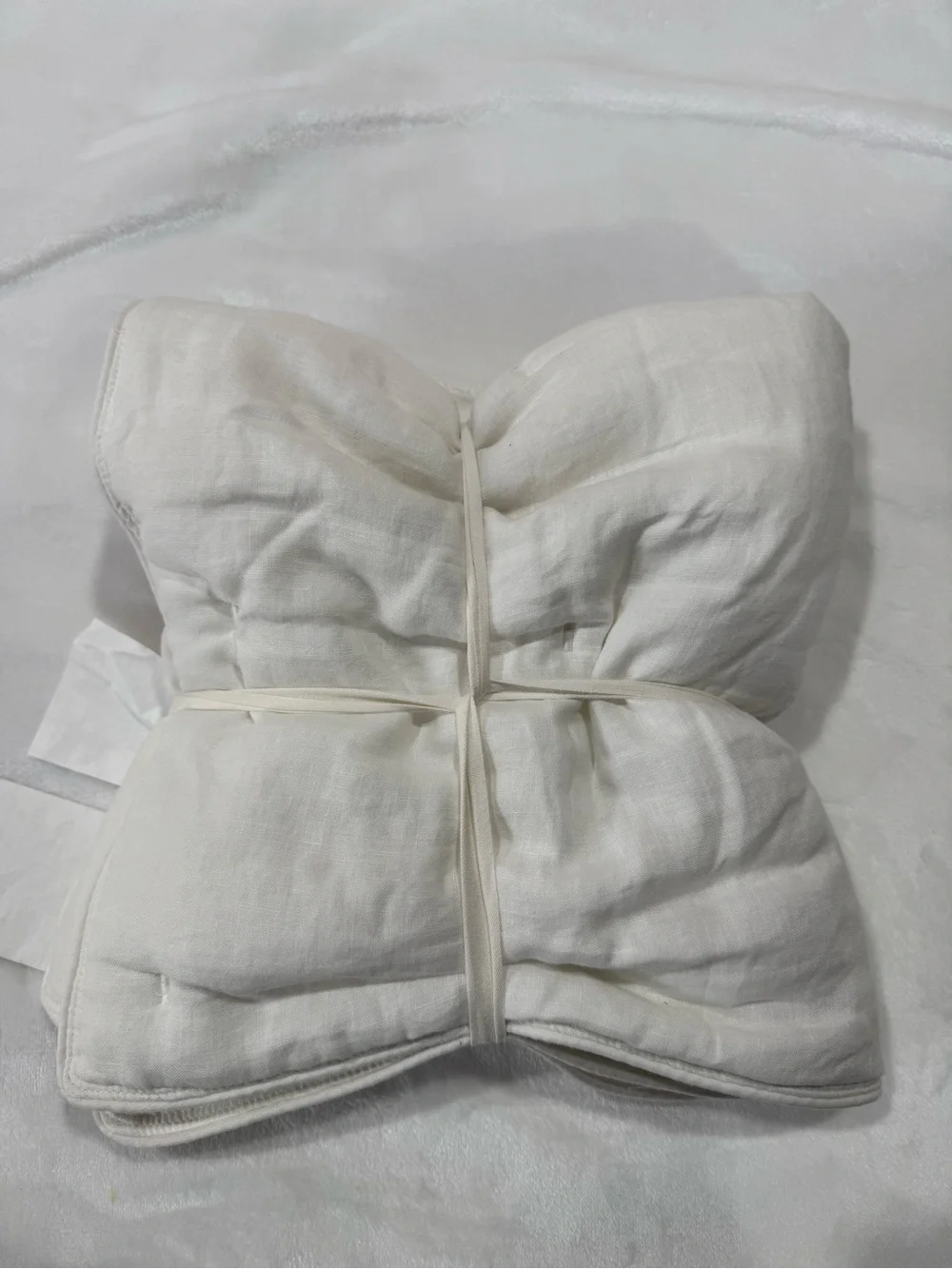 Pottery Barn Belgian Linen Euro Sham